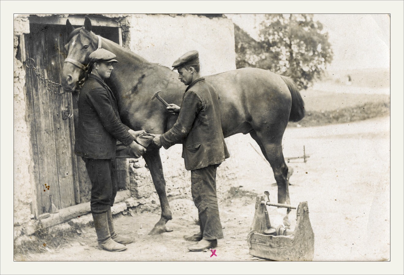 Sepp Mats Lang abilisega hobust rautamas